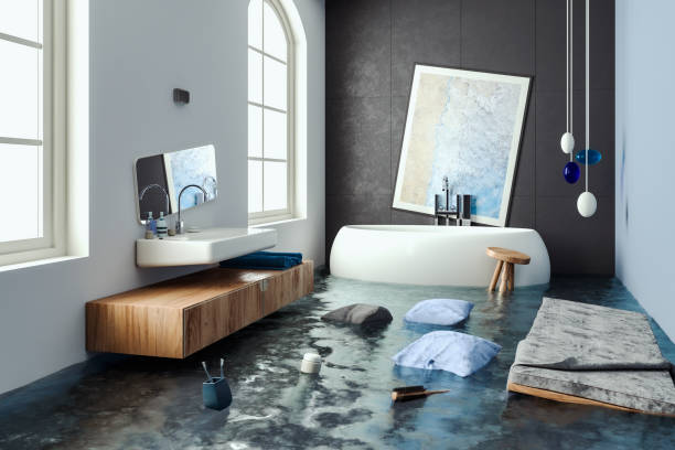 Best Carpet water damage restoration  in Humansville, MO