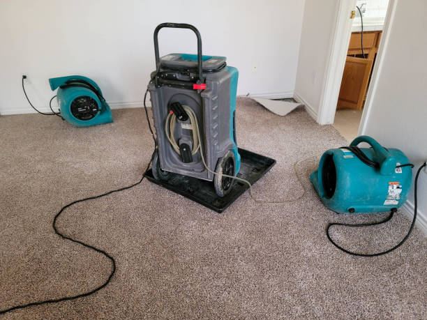 Best 24/7 water damage repair  in Humansville, MO