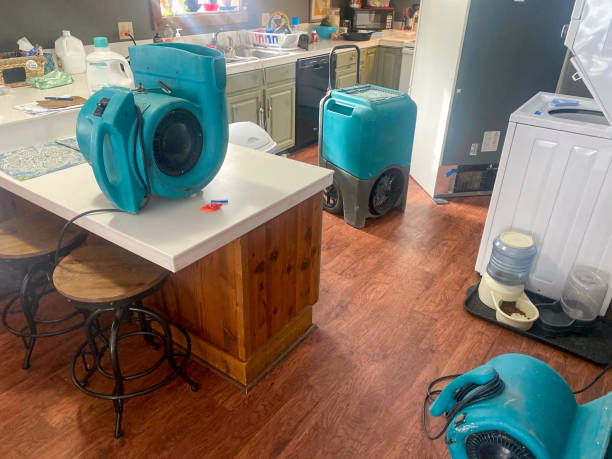 Best Water damage restoration near me  in Humansville, MO