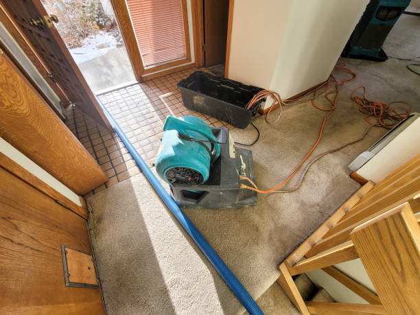 Best Emergency water damage restoration  in Humansville, MO