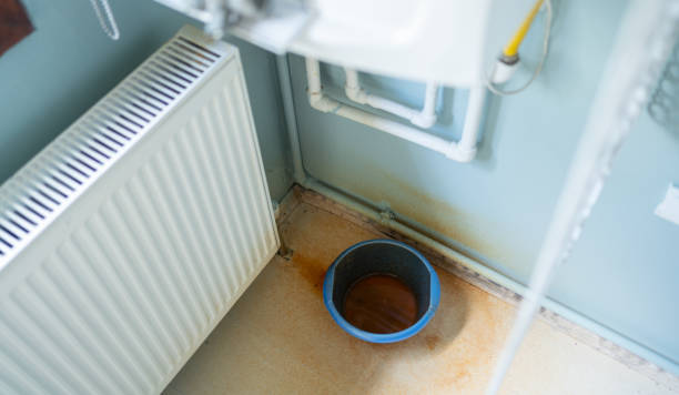 Best Fire Damage Restoration  in Humansville, MO