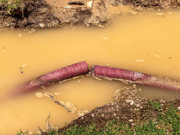 Best Professional water damage repair  in Humansville, MO