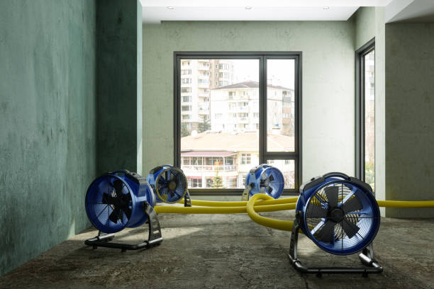 Best Carpet water damage restoration  in Humansville, MO